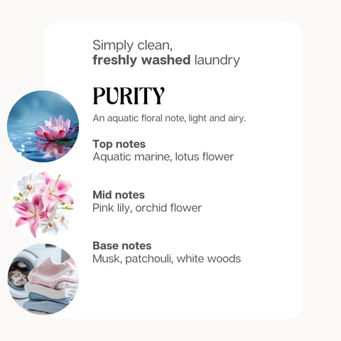 Vonné tóny Purity: morské tóny a lotos, ružová ľalia a orchidea, pižmo, pačuli a biele drevo